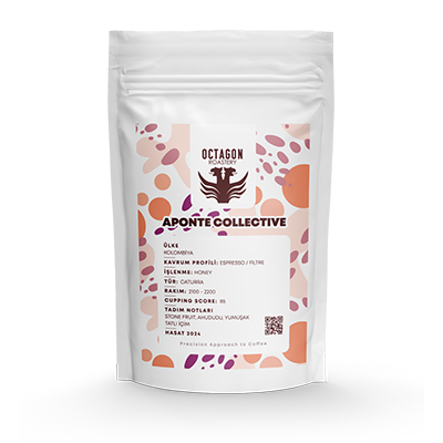 APONTE COLLECTIVE (filtre,esp)